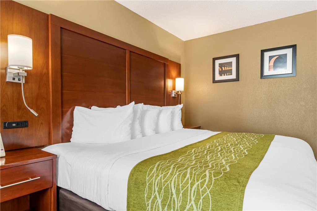 Comfort Inn Msp Airport - Mall Of America Bloomington Phòng bức ảnh