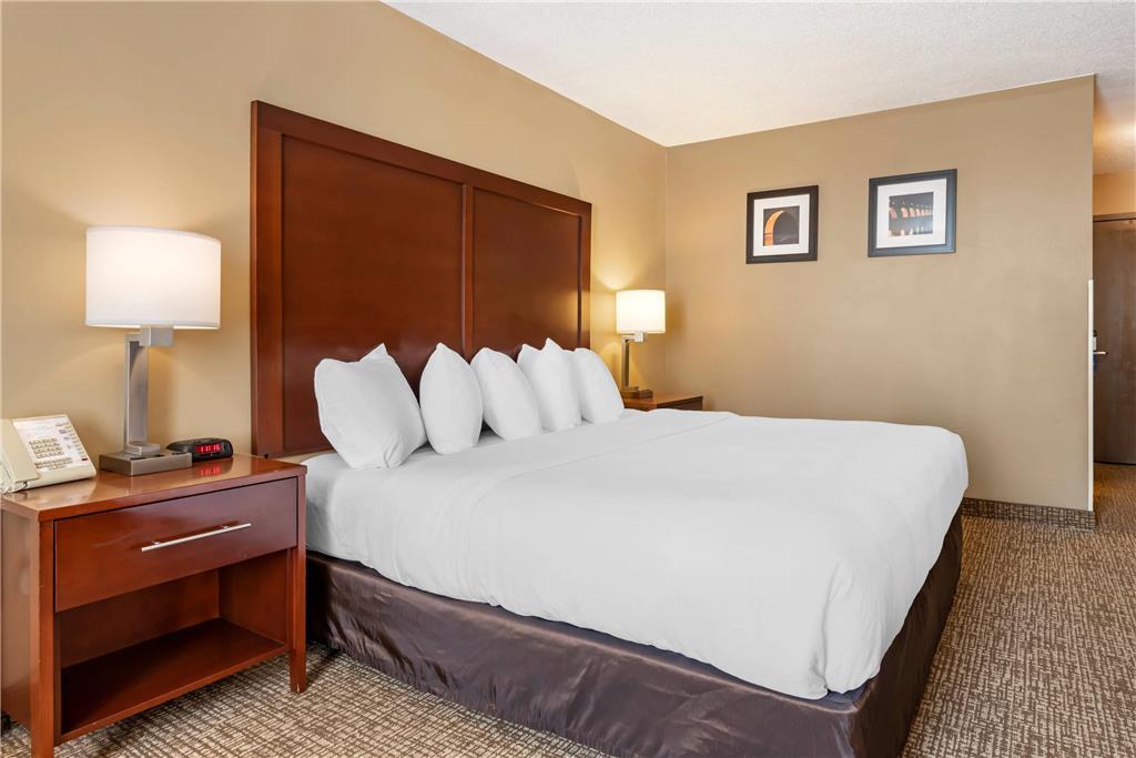 Comfort Inn Msp Airport - Mall Of America Bloomington Phòng bức ảnh